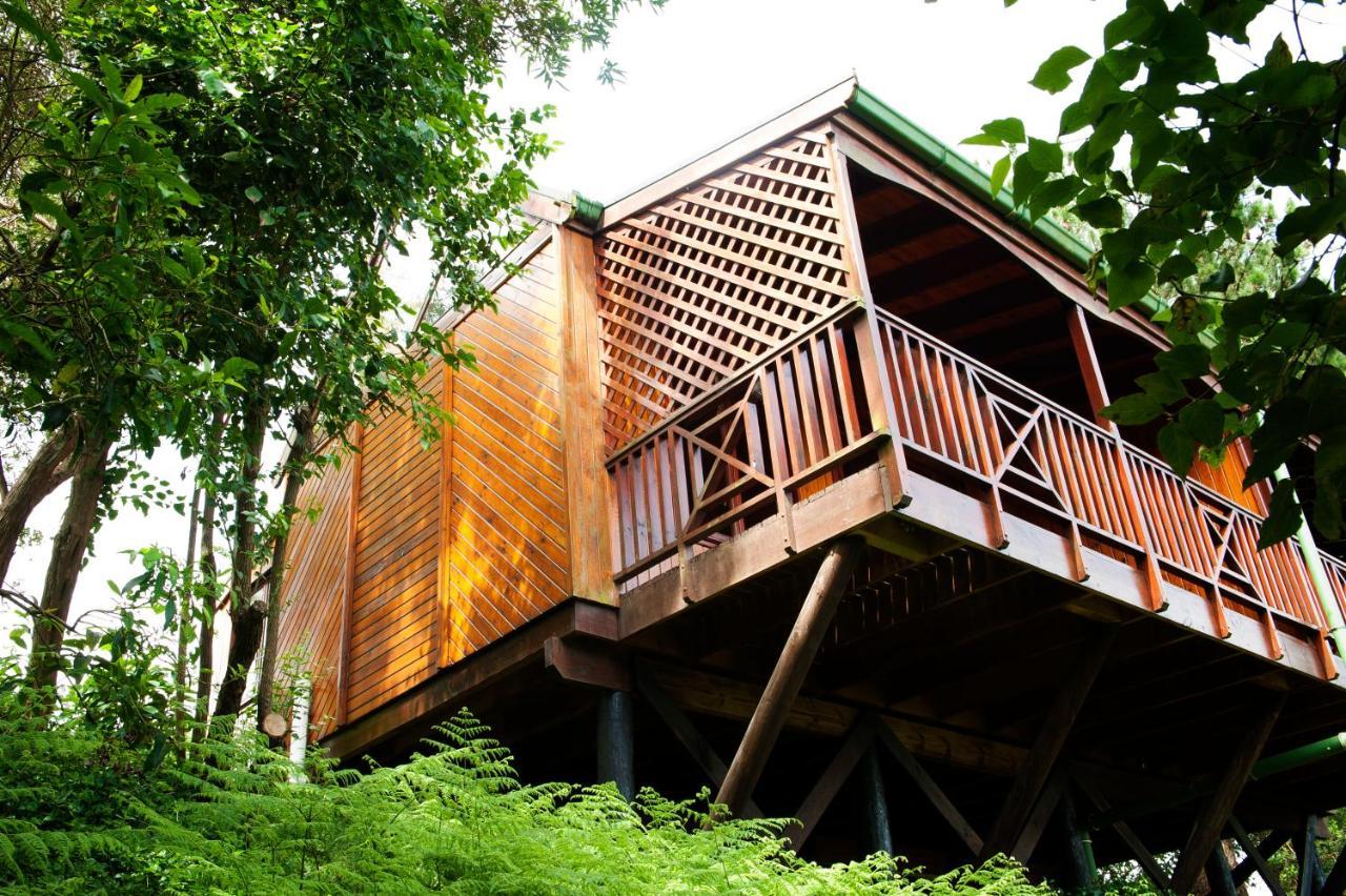 Arendsrus Country Resort Molen Drift Esterno foto