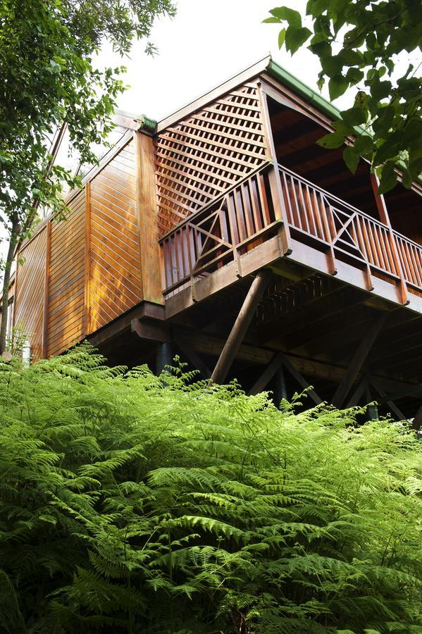 Arendsrus Country Resort Molen Drift Esterno foto
